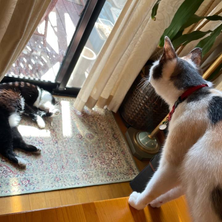 507ca827 790e 4d10 be60 117999bd50db 1728693886239