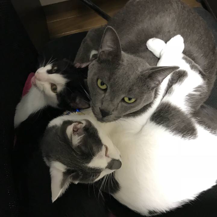 507cb0b4 cde3 4170 83dd e8b54ba50544 1510735195825