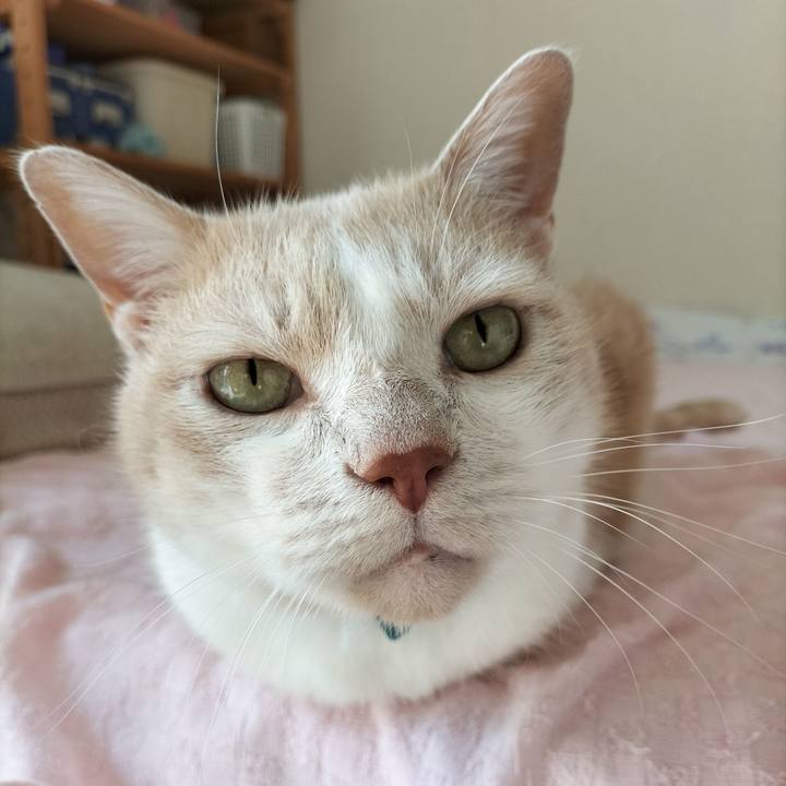 507cd18a 9441 4fb8 a0eb c99fd0029dcd 1632527641776