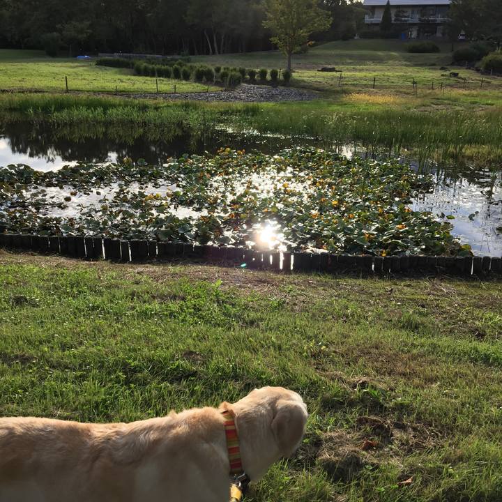 507cda5d c387 4408 9bf5 bf08b27449d7 1538467504898