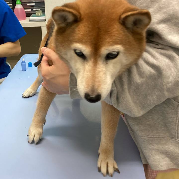 507cef7f b353 4ca6 bdef 55d59f09c4cf 1707454665114