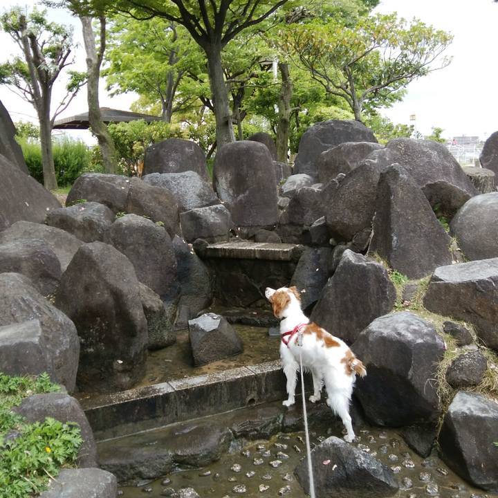 507cfd08 5e8d 4076 856a 2957ca4188b9 1524655828137