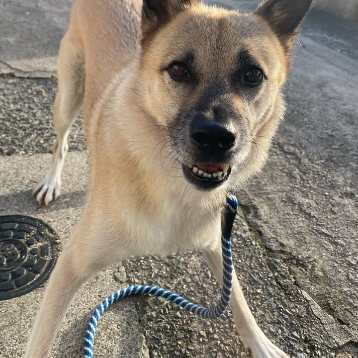 507d068a b9b5 4aa5 86b3 d74002599e85 1663677389615