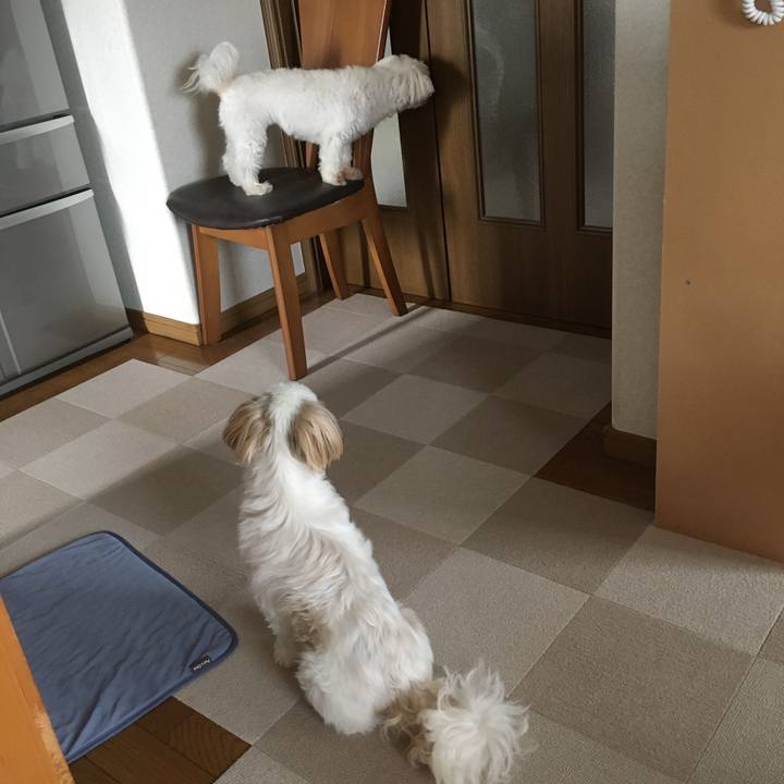 507d1cbc 9d93 4d41 a065 d4a4fcee35f3 1594424634798