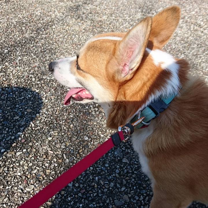 507d91f9 af92 44d5 b6b9 82606169961b 1604370450405