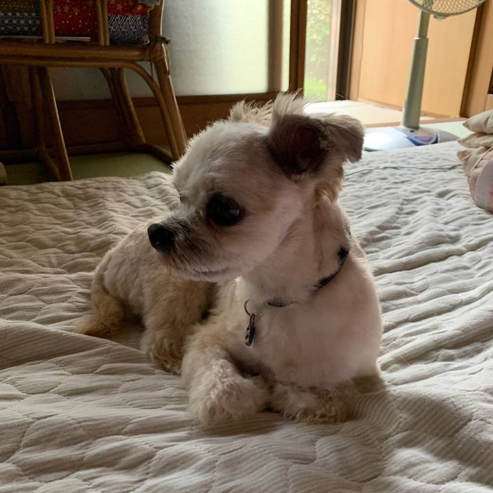 507de0ca fa27 4d99 930b 654f9c1db416 1564656632234