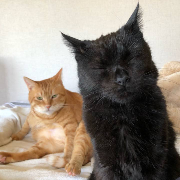 507de50b 9a82 44fb 907b 0eb15abfc999 1590826489897