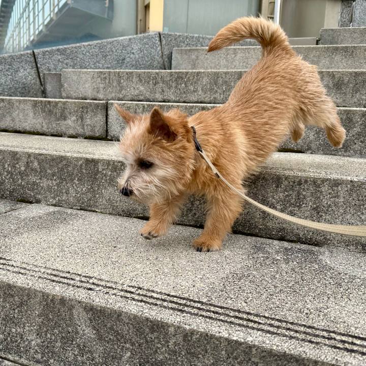 507de97f afa1 4c77 9b1b 4f200abc03f8 1708839168895