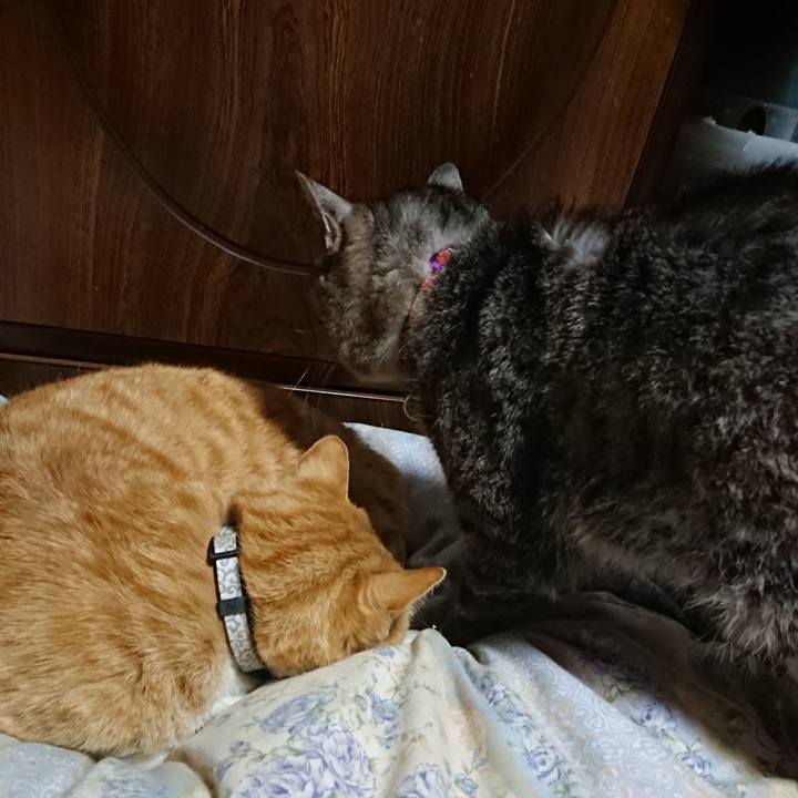 507e11ed 38c7 4a51 9581 a94ffbb48fb4 1588075009686