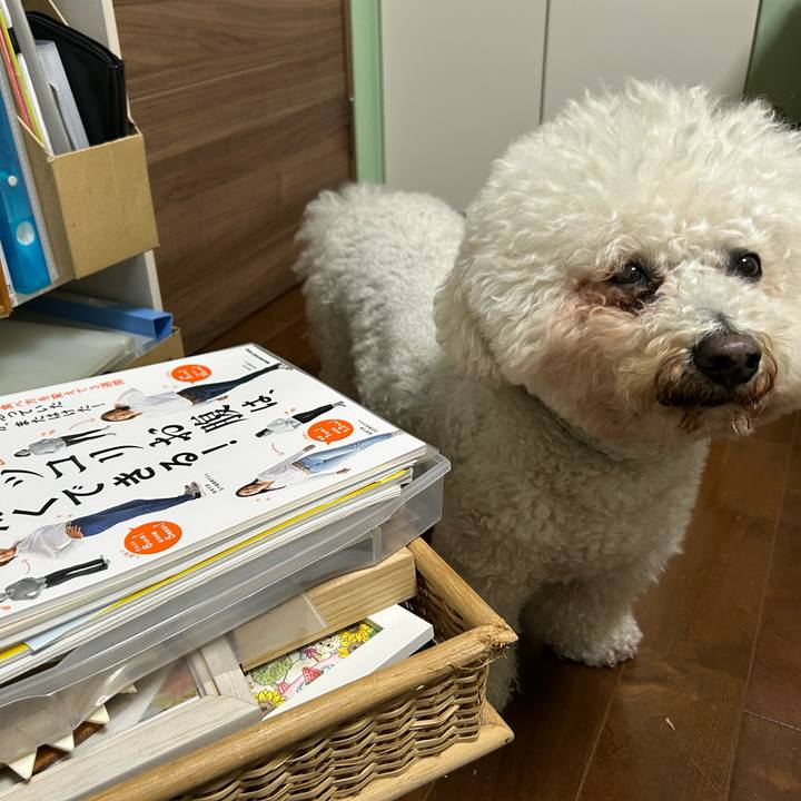 507e2b2f f62d 4c5a 9f91 2cce65a0e0bd 1768272917974