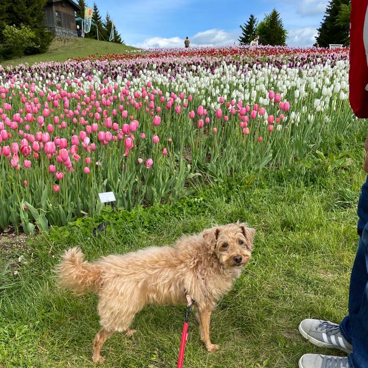 507e4752 b300 4735 81a7 0bbc5c1c2990 1654423283760