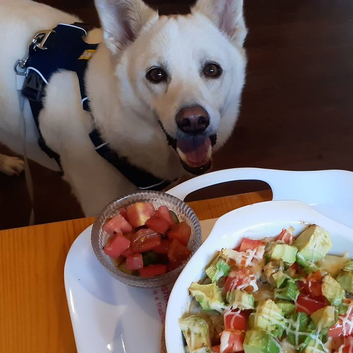 507e8c33 ebaa 4e54 a7dd f96bdc4dddc2 1694713281728