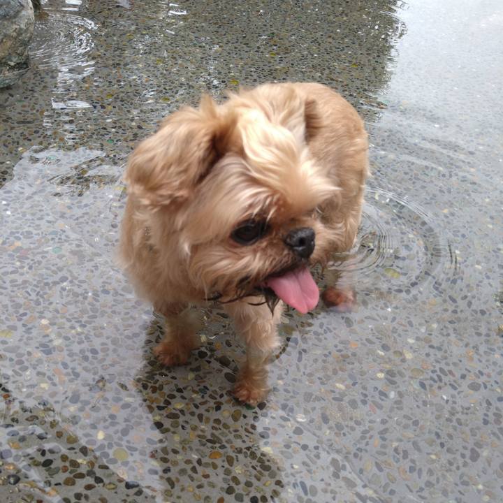 507e8d38 ad49 49d4 9632 f599ddc0b0f9 1624772010507