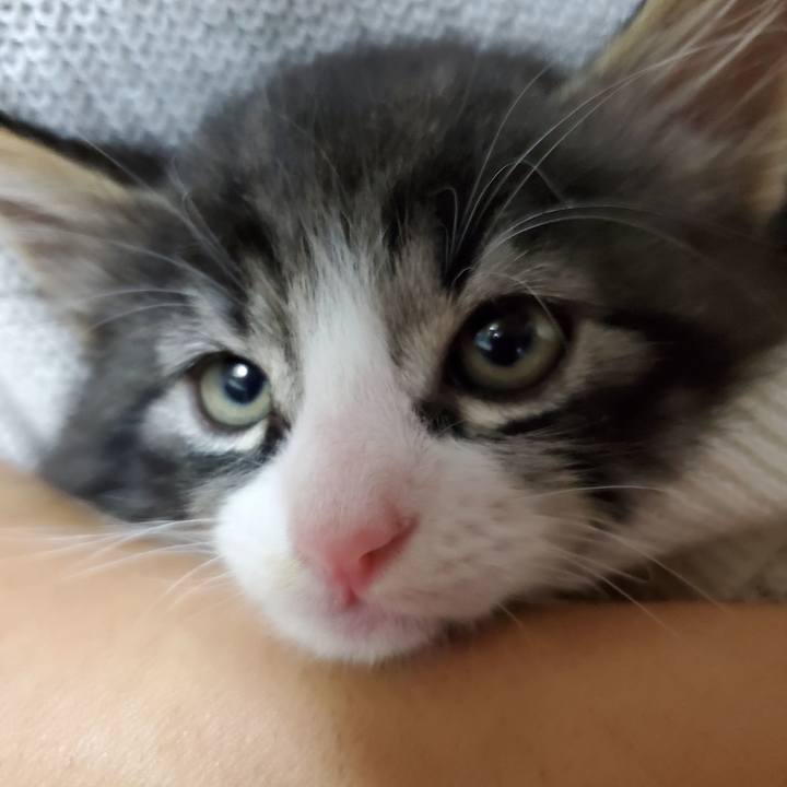 507ea6e4 32bb 4033 b9fd fd7ac5bf1c5b 1625666828814