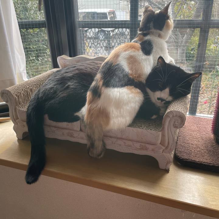 507eed72 d488 4c75 962c c68010ed4d42 1676762579605