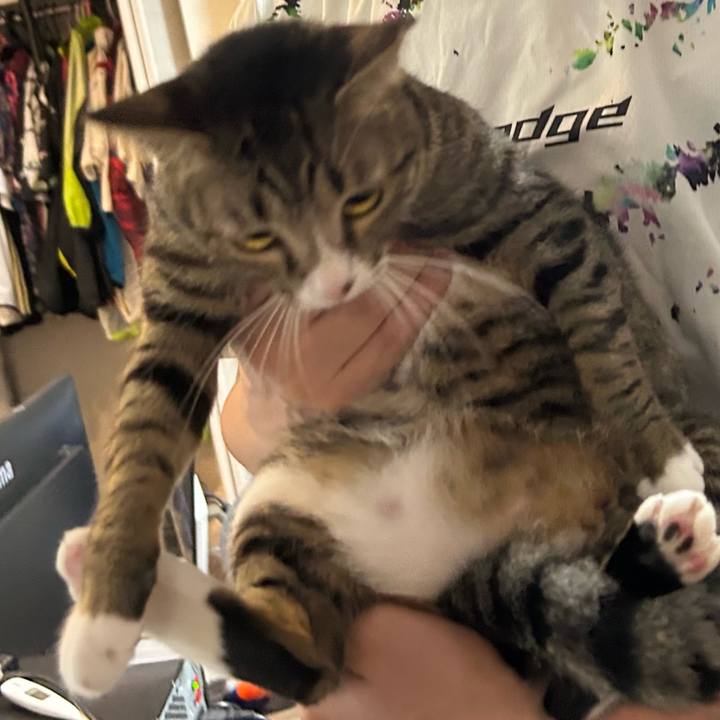 507f2254 f517 4a28 bcd5 1f1a96b47810 1759831727434