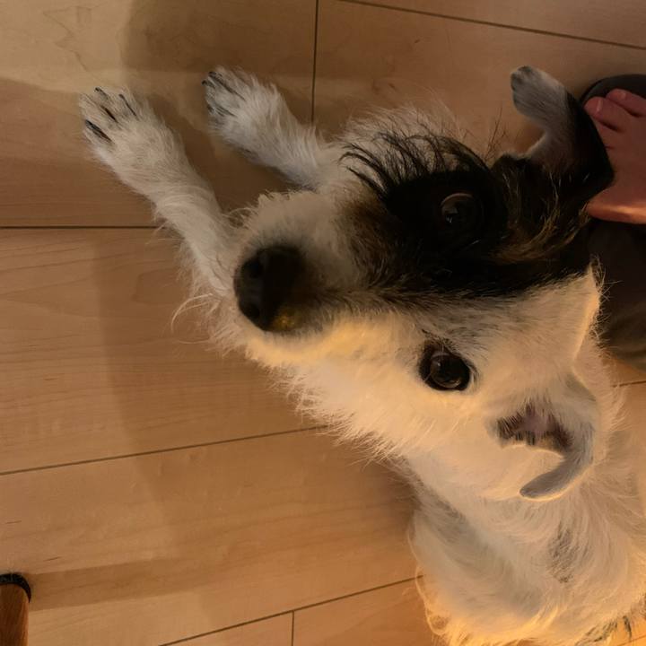 507f4a01 d4fc 49f4 98c9 e79b654f6230 1619777718624