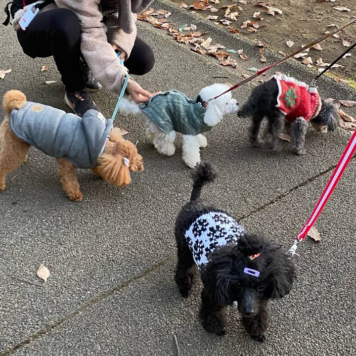 507f863f 2a5f 48b3 8b28 2b9c1110705d 1640078473330