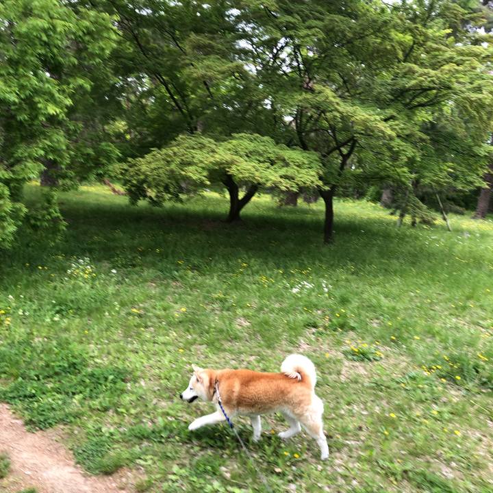 507f8c8a 7f3d 4bed 85c8 28155a5ec76d 1556624862136