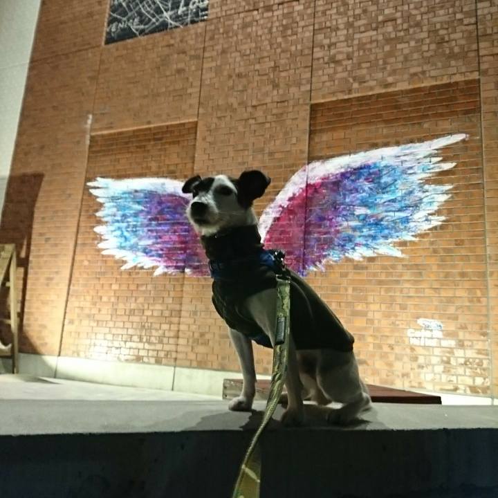 507fac69 3d2e 43f7 b4db 1312a87c9aac 1512812752704