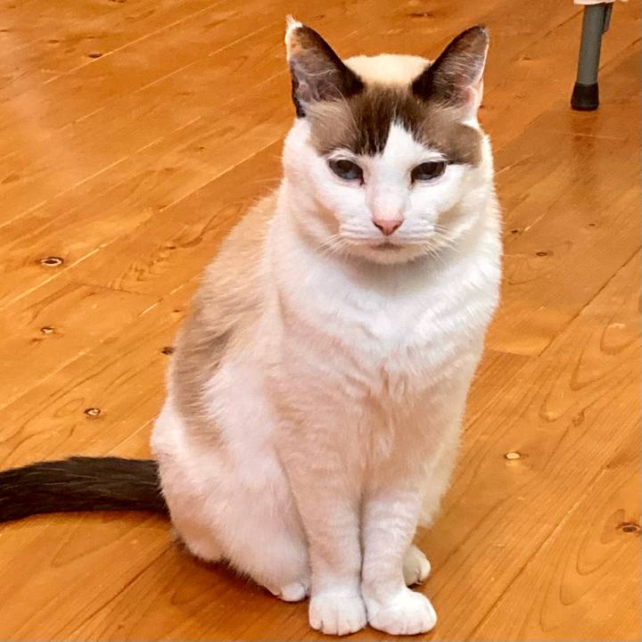 50803e1a 17de 4f14 9c6f 2e2808491bb8 1672054229478