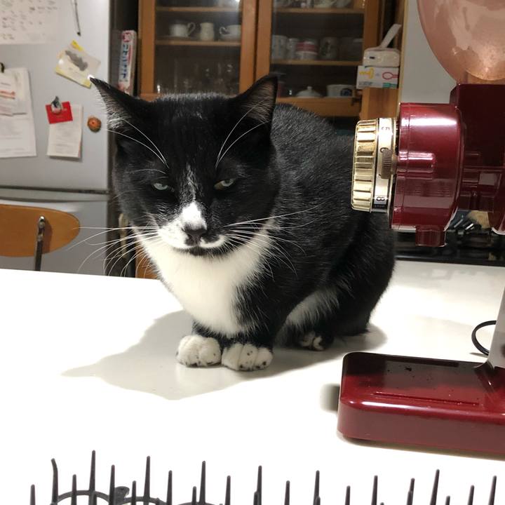 50807551 4177 49c1 a4c3 b438873ccee6 1542858466059