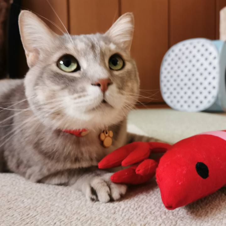 5080cd31 7a71 44df 9cb0 0c0df1cd4a14 1616556388285