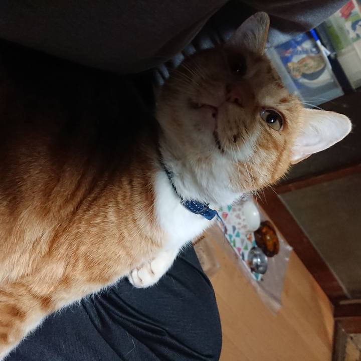 5080f117 4d90 4532 8bae 49075d48b3ff 1605642897466