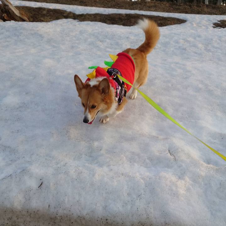 5080ff7c fe6b 49ee 911c 8d41e636192a 1773618322168