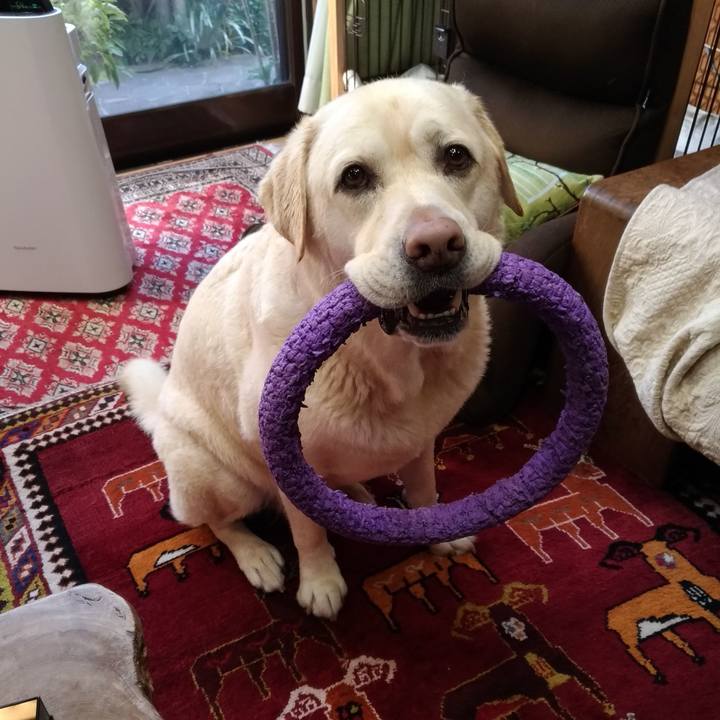 50814efd f1da 48c2 948a 06ef604caaf2 1642312747582