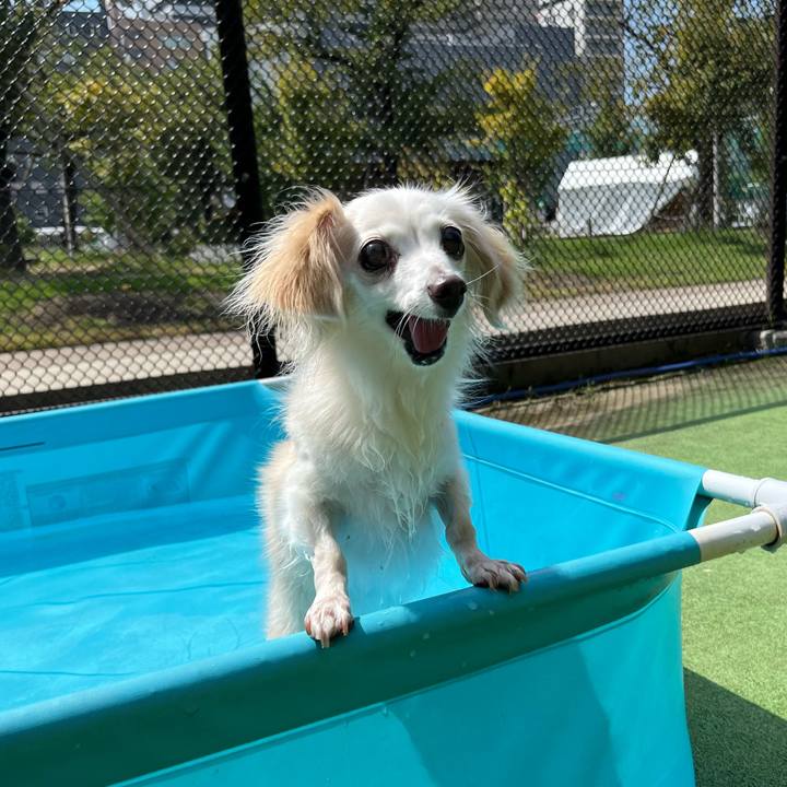 50816a6a 1cde 466b b5e1 15743f593bac 1726274292287