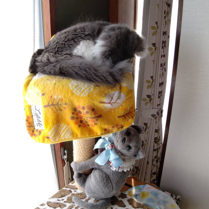 5081991a ba1a 49b4 8069 32599dc4ff0c 1598168060780