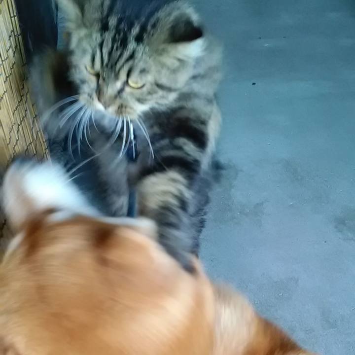 5081a7fa ee0a 4b22 a585 0f381bfb8f2a 1631231150847