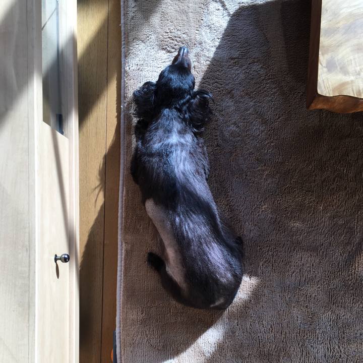 5081ac14 2c09 4593 b0e8 8af45d1820ff 1555366755556