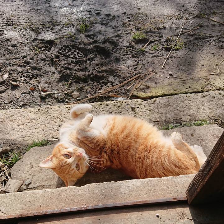 5081ae07 2c62 4f91 8c02 7a648a64f4b0 1579402185322