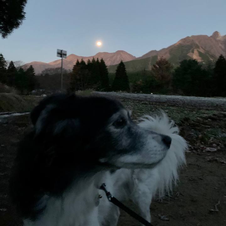 5081aec3 6632 4f90 acc7 43a50bc275c6 1606781152841