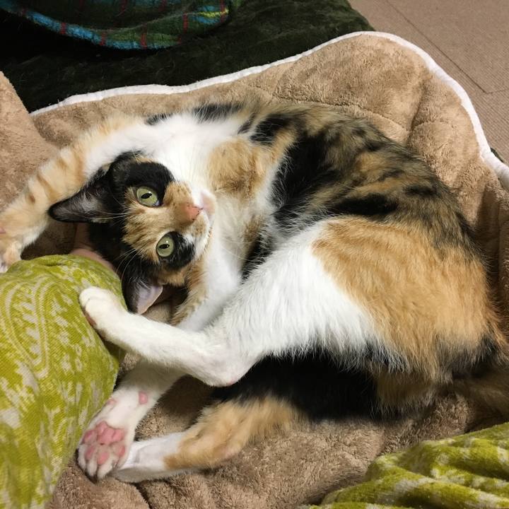 5081dd36 a414 4060 a656 5af5261dbcfb 1518772286246