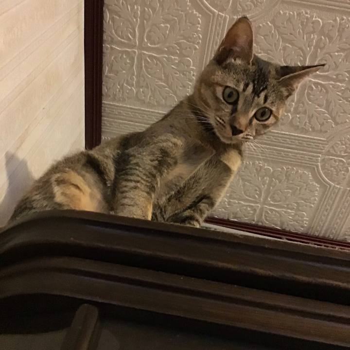 5081dde6 56d0 45f4 8284 777a51a3be96 1574056536496