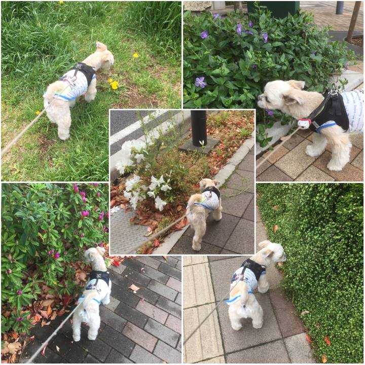 508208ba 8660 4f1f 83ce 9c8a4ccb8712 1556353417487