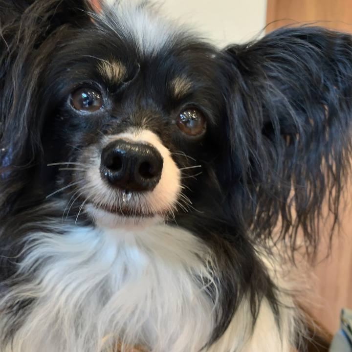 5082182f 2869 4dbe a240 e1581794c2ae 1560999872153