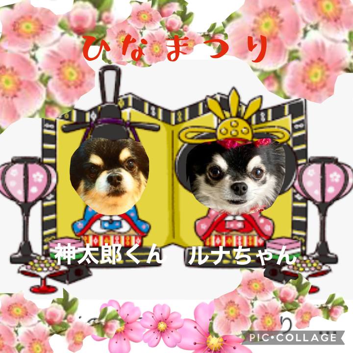 50824017 5f63 49fc 845d 6ac5d85651c3 1646277648928