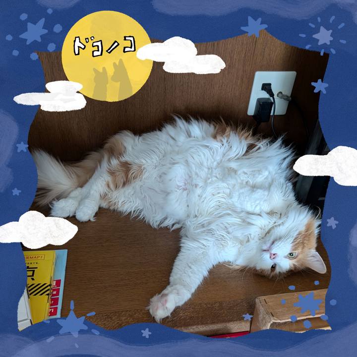 50824462 661f 41f9 9c2d 071298e6883f 1726813817153