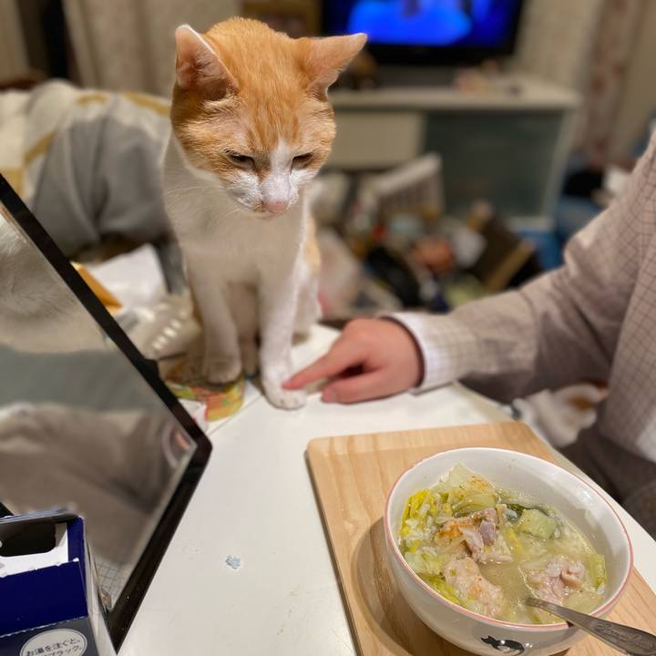 5082451a 39e6 4fcd 9bef d715b5cf7605 1765400055395