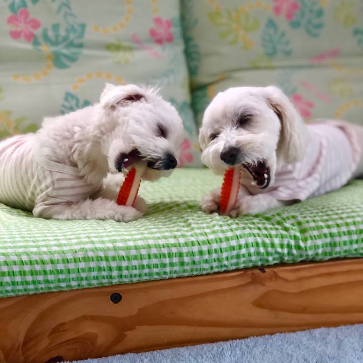 508248d9 2c2b 4267 88c0 b1324678d60f 1524274175375