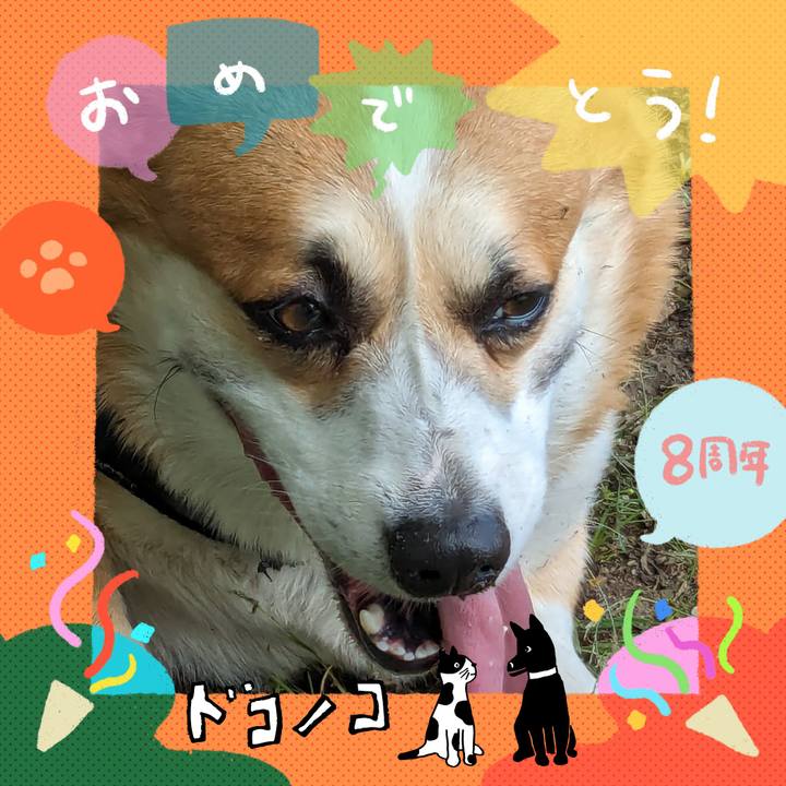 50833a49 6a35 4def bb91 8f4142bd3e8e 1718337365640