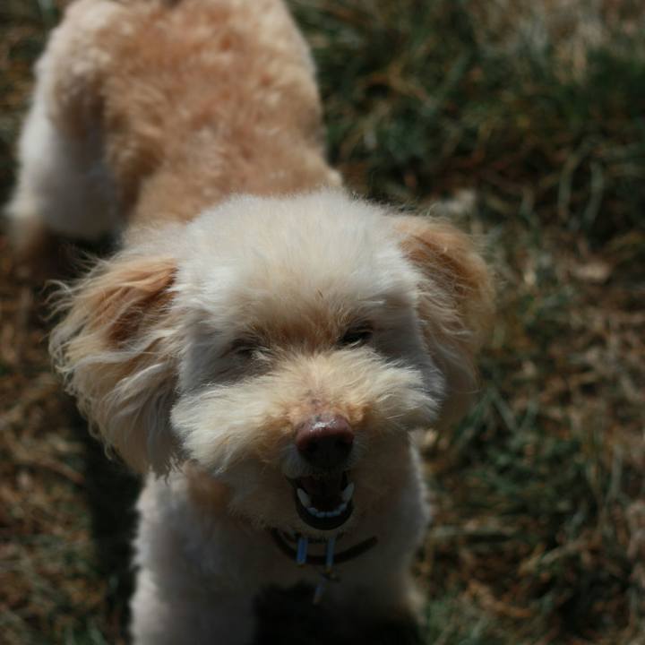 50835320 b777 4508 9996 335cd03b1c42 1551818868296