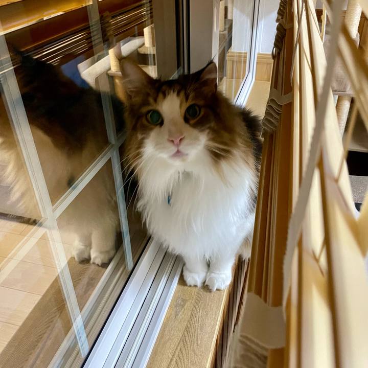 5083574d 6e7c 45b7 a7ab 4b6a0b0eb5fc 1708975654385