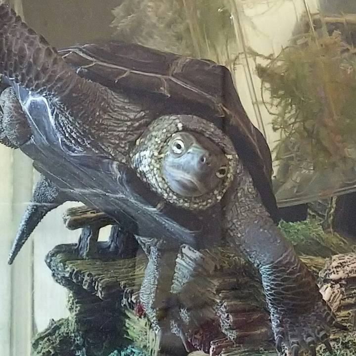 50836021 af6a 4dd6 8f52 3df15ab19fb6 1530882690936