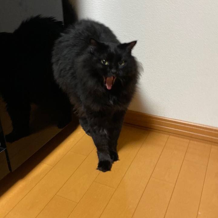 50837550 7b39 4689 a1d9 6367b031e17e 1576251304029