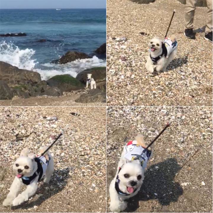 50837d25 896c 4ea0 8a20 32cbff07dba4 1526294563441